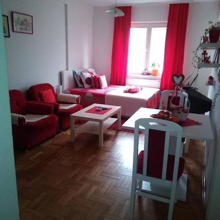 Apartman Mira Pozarevac Bagian luar foto