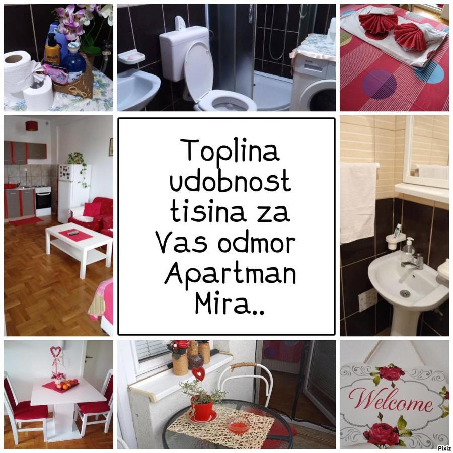 Apartman Mira Pozarevac Bagian luar foto